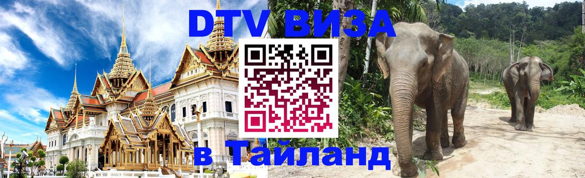 Сколько стоит DTV виза — актуальные цены, оформление даже без документов - 